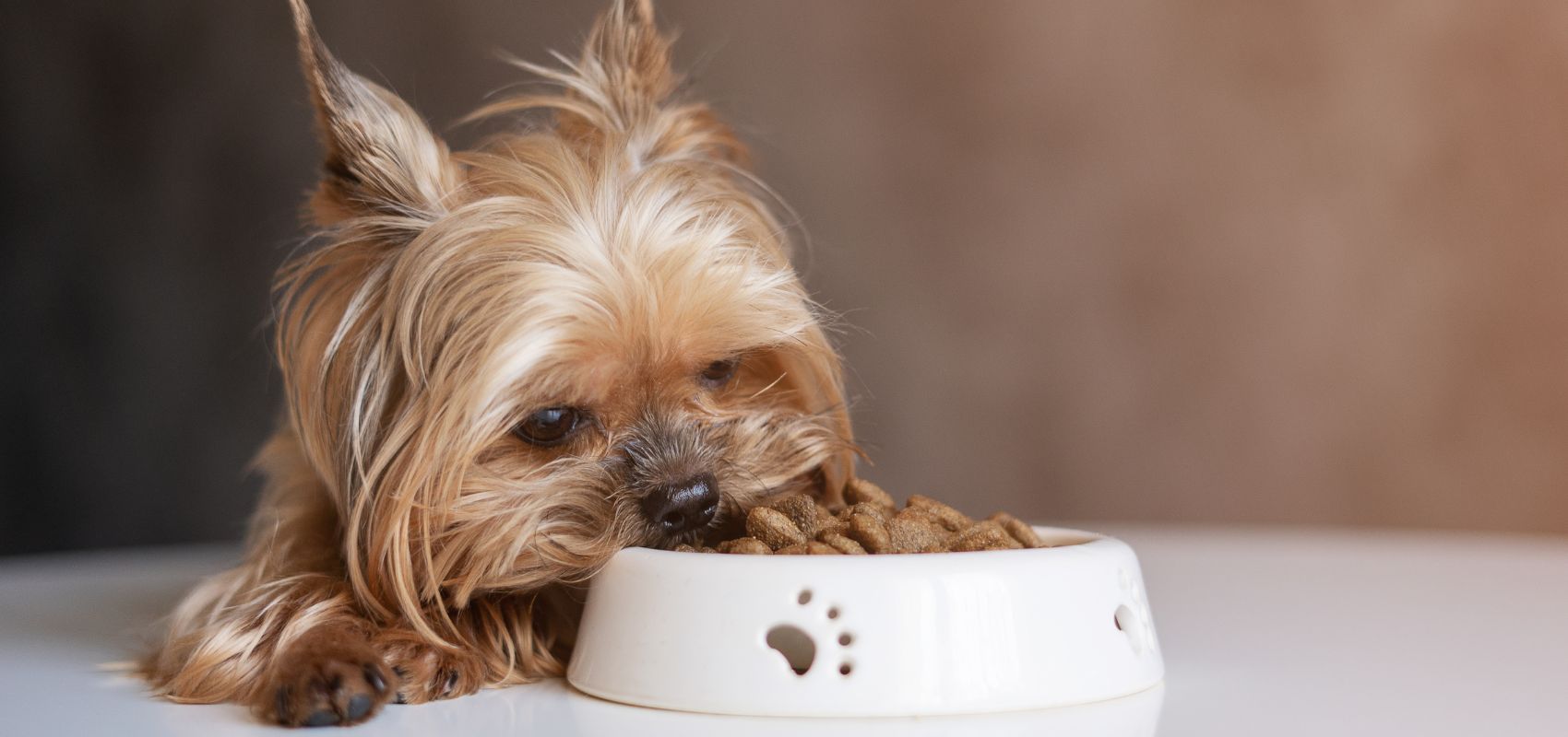 Refeeding: safe steps after a period without food