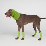 Jambières en polaire pour chien - Vert Citron