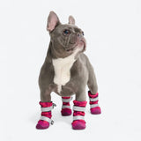 Bottes imperméables pour chien Flex Shell - Camouflage Fuchsia