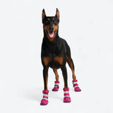 Bottes imperméables pour chien Flex Shell - Camouflage Fuchsia