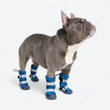 Bottes imperméables pour chien Flex Shell - Camouflage Bleu