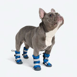 Bottes de pluie pour chien, Chaussures imperméables pour chien - Camouflage Bleu