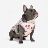 Gilet rafraîchissant pour chien - Cerises