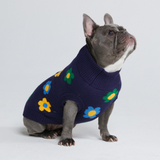 Pull pour chien en tricot - Fleurs bleues vertes jaunes