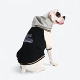 Veste universitaire pour chien - Noir