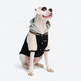 Veste universitaire pour chien - Noir