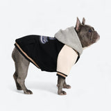 Veste universitaire pour chien - Noir