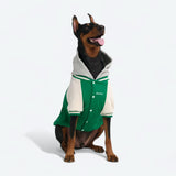 Veste universitaire pour chien - Vert