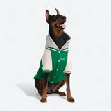 Veste universitaire pour chien - Vert