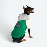 Veste universitaire pour chien - Vert