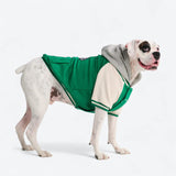 Veste universitaire pour chien - Vert