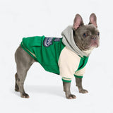 Veste universitaire pour chien - Vert
