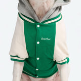 Veste universitaire pour chien - Vert