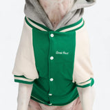 Veste universitaire pour chien - Vert