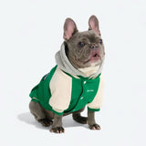 Veste universitaire pour chien - Vert