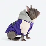 Veste universitaire pour chien - Violet