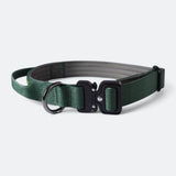 Collier tactique pour chien - Vert armée