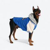 Veste universitaire pour chien - Bleu