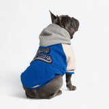 Veste universitaire pour chien - Bleu