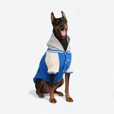 Veste universitaire pour chien - Bleu