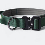 Collier tactique pour chien - Vert armée