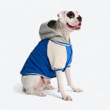 Veste universitaire pour chien - Bleu