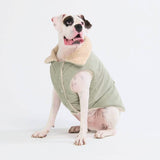 Veste en Velours Côtelé Sherpa - Mint