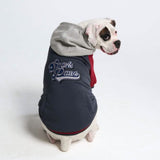 Veste universitaire pour chien - Gris rouge