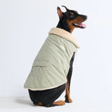 Veste en Velours Côtelé Sherpa - Mint