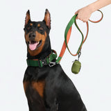 Collier de contrôle confort - Vert Orange