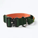 Collier de contrôle confort - Vert Orange