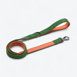 Collier de contrôle confort - Vert Orange