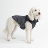 Black PuffShield Jacket||size:2XL