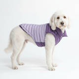 Purple PuffShield Jacket||size:2XL