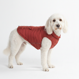 Crimson Warmshield Jacket||size:2XL