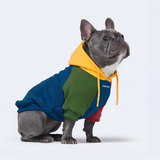 Primary Color Hoodie||size:L,XL