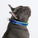 Lime Wave Martingale Collar||size:A,B
