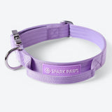 Collier tactique pour chien - Lilas