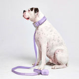 Blossom Hoodie pour Humain - Rose
