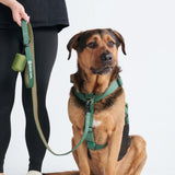 Ensemble Laisse et Porte-Sac à Crottes - Vert armée