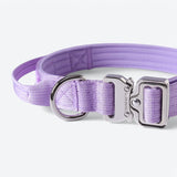 Collier tactique pour chien - Lilas