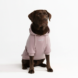 Essential Purple Taupe Hoodie||size:3XL