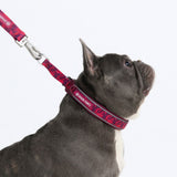 Fuchsia Camo Martingale Collar||size:A,B