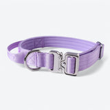 Collier tactique pour chien - Lilas
