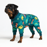 size:5XL