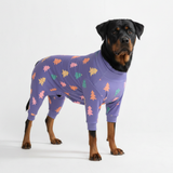 size:5XL