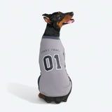 Maillot de football en mesh - Gris