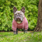Essential Dusty Pink Hoodie||size:S,M,L,XL,2XL,3XL,4XL,5XL