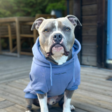 Essential Slate Blue Hoodie||size:S,M,L,XL,2XL,3XL,4XL,5XL