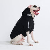 Sweat à Capuche Halloween pour Chien – Squelette